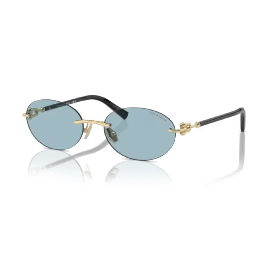 Tiffany & Co 3104D Gözlük