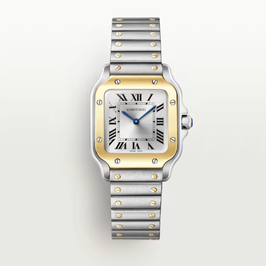 Santos De Cartier WATCH ( Top Quality )